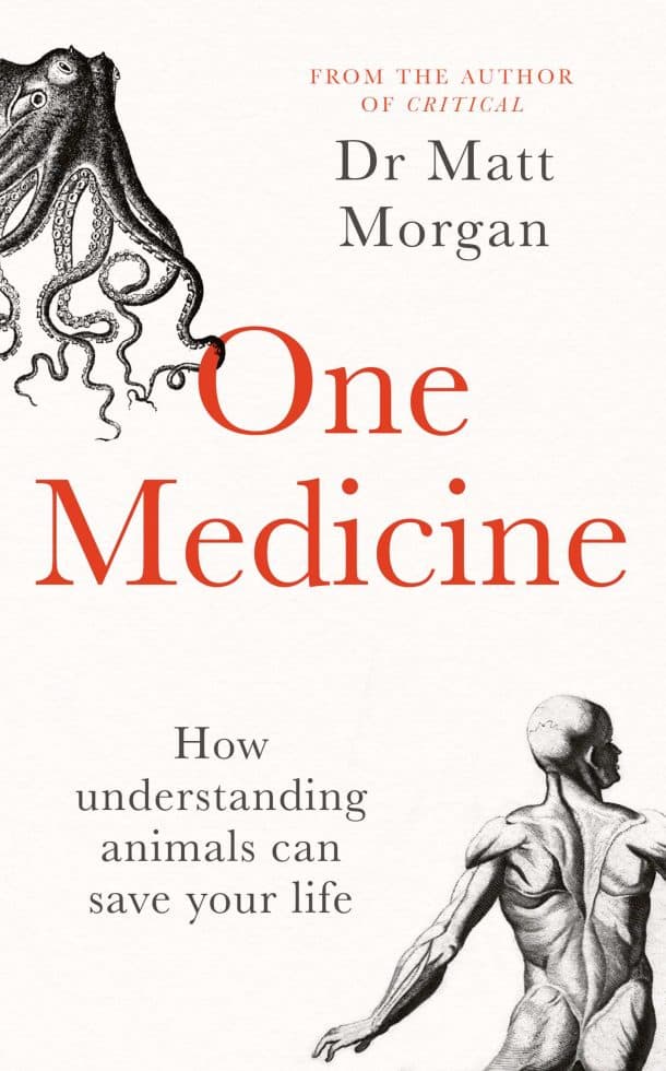 One Medicine by Dr Matt Morgan